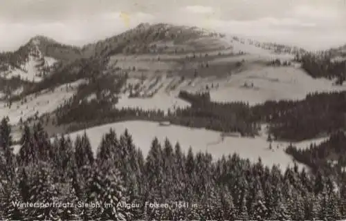 Oberstaufen-Steibis - mit Falken