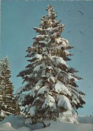 Herzliche Weihnachtsgrüße Baum unter Schnee