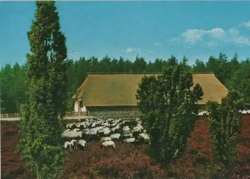 Lüneburger Heide - Schafstall - 1990