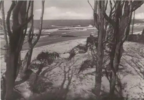 Ahrenshoop - Strand bei Rehbergen - 1985