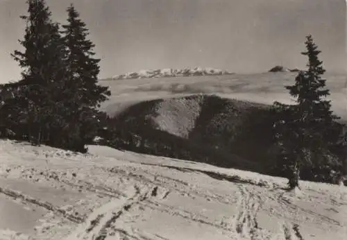 Slowakei - Slowakei - Mala Fatra - Kleine Fatra - ca. 1965