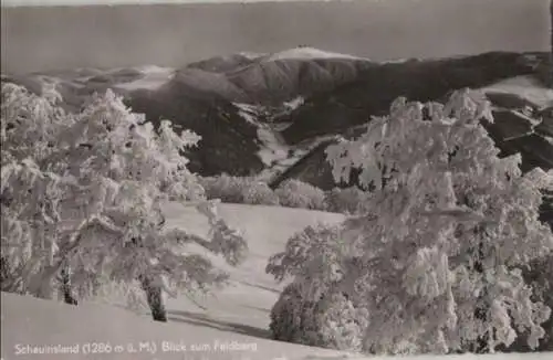 Schauinsland - Blick zum Feldberg - ca. 1960