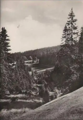 Johanngeorgenstadt - Im Steinbachtal - 1971