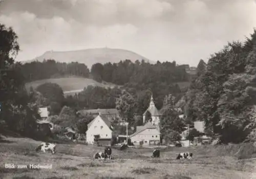 Zittau - Lückendorf - Blick zum Hochwald - 1972