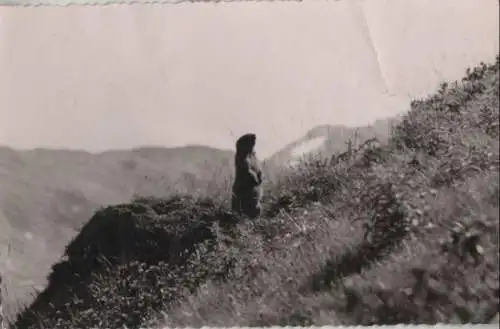 Allgäuer Alpen - Im Bärgründele - 1955