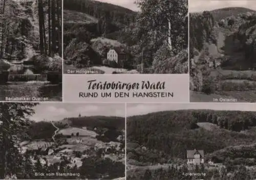 Teutoburger Wald - Rund um den Hangstein - 1961