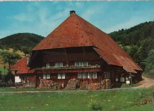 Schwarzwald - Schwarzwaldhaus - 1966