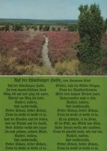 Lüneburger Heide - Naturschutzgebiet - ca. 1980