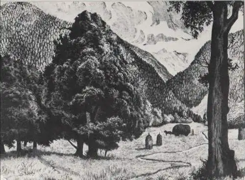 Baum im Tal