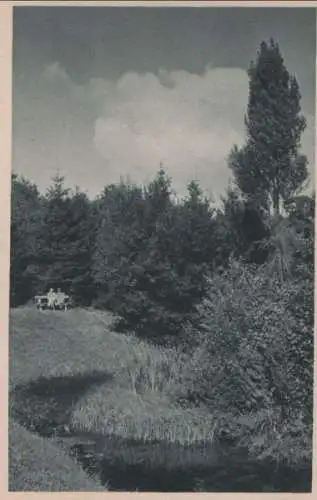 Bad Salzuflen - Einsamer Winkel im Kurpark - ca. 1950