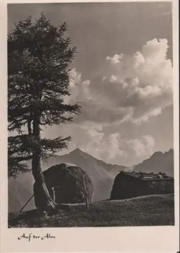 Auf der Alm - ca. 1950