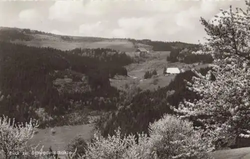 Schonach - Blick zur Schwedenschanze