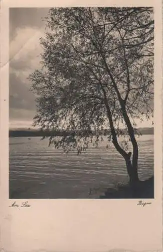 Baum am See