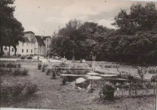 Pretzsch (Elbe) - Kurpark, Froschteich - 1969