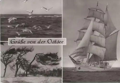 Ostsee - Grüße - 1983