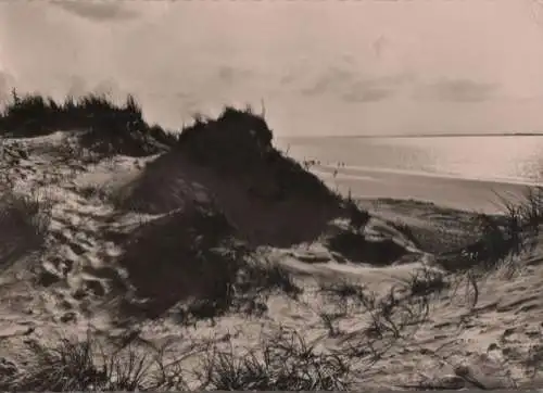 Langeoog - Dünen - 1967