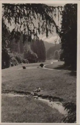 Tambach-Dietharz - Partie im Apfelstädter Grund - 1955