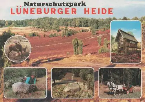 Lüneburger Heide - ca. 1995