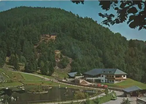 Todtnau - Berg-Wild-Park Steinwasen - ca. 1980