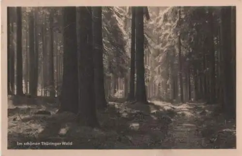 Thüringer Wald - Sonneneinfall