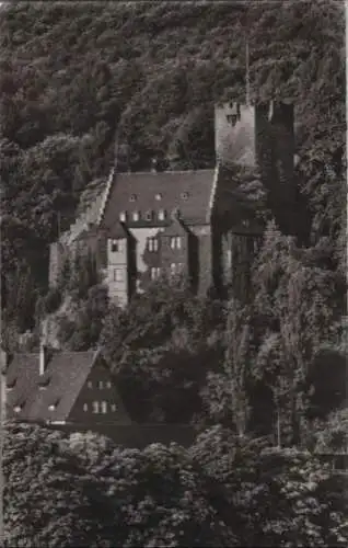 Miltenberg - Blick aufs Schloß - ca. 1960