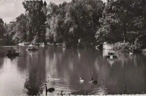 Karlsruhe - Teich im Stadtgarten - 1958