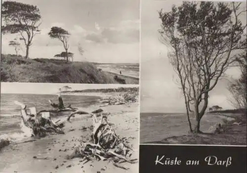 Darß - mit 3 Bildern - 1970