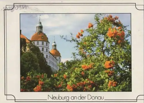 Neuburg, Donau - Blüten