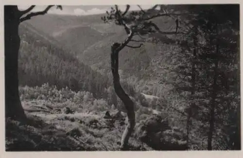 Tabarz - Blick vom Fuchsstein - ca. 1950