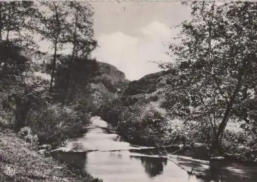 Belgien - Belgien - Barvaux-sur-Ourthe - Sortie de la Ourthe a la Grotte - 1965