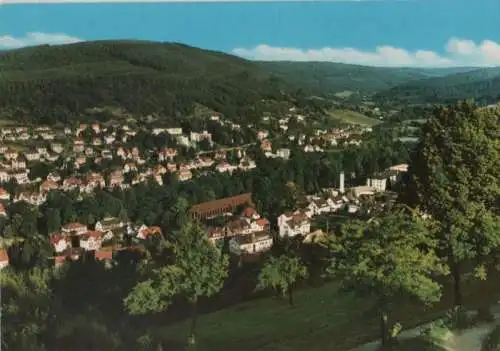 Bad Orb - Teilansicht mit Blick ins Orbtal - ca. 1980