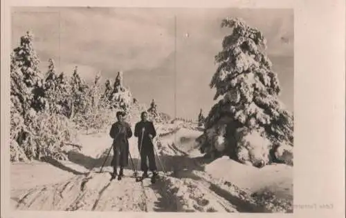 Skifahrer im Nadelwald