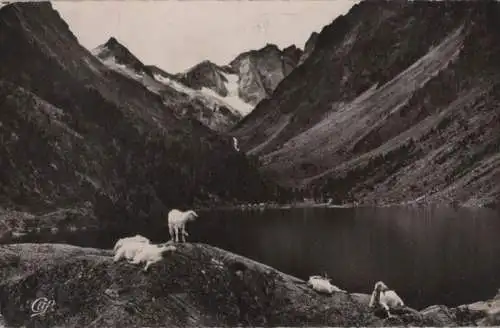 Frankreich - Frankreich - Cauterets - Le Lac de Gaube - 1959