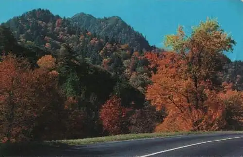 USA - USA - Great-Smoky-Mountains-Nationalpark - 1959