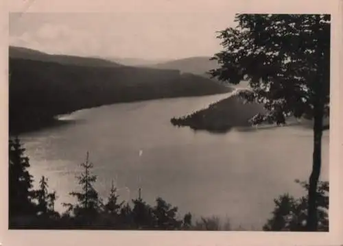 Hohenwarte-Stausee - Blick auf Drachenschwanz - 1961