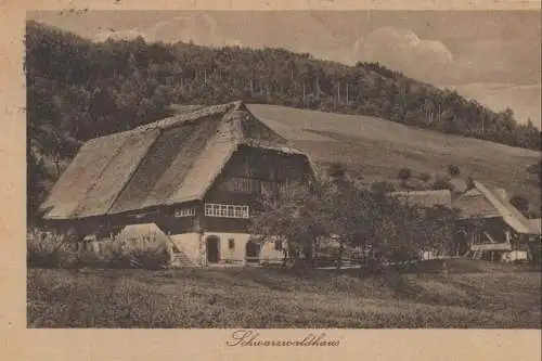 Winterberg-Altastenberg - Schwarzwaldhaus