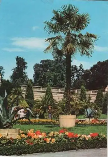 Potsdam, Sanssouci - Sizilianischer Garten - 1978