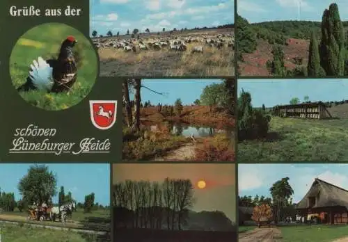 Lüneburger Heide - 8 Teilbilder - 1990