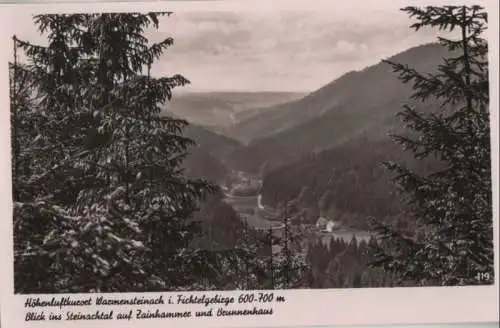 Warmensteinach - Blick ins Steinachtal - ca. 1950