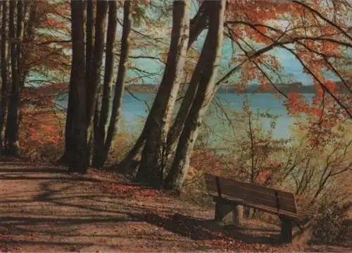 Ein Waldweg am Wasser - ca. 1980