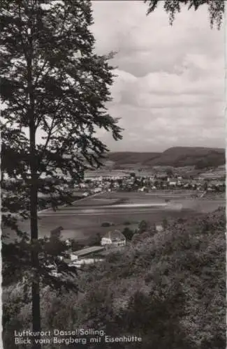 Dassel - Blick vom Burgberg mit Eisenhütte - 1964