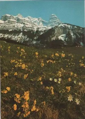 Schweiz - Schweiz - Engelberg - Wallenstöcke - ca. 1980