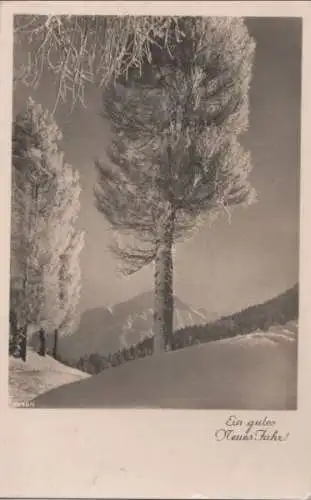 Neues Jahr - Baum im Winter