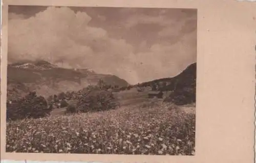 Landschaft mit blühender Wiese