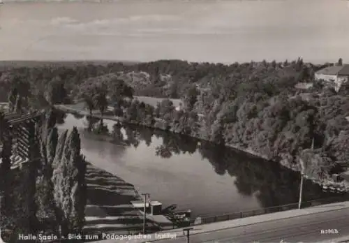 Halle - Blick zum Pädagogischen Institut - 1963