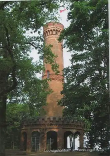 Darmstadt-Bessungen - Ludwigshöhturm im Wald - ca. 1985