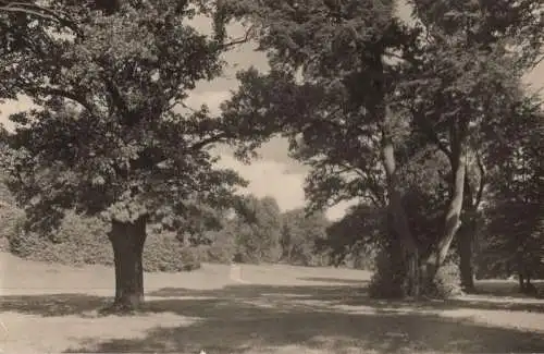 Bad Muskau - Im Kurpark