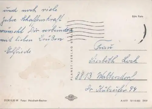 Herzliche Geburtstagsgrüße Rosen