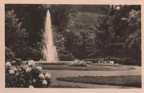 FriedrichrodaEIm Park - 1953