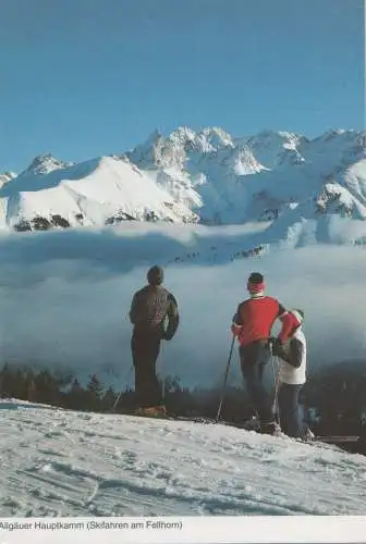 Allgäu - Hauptkamm, Skifahrer am Fellhorn - ca. 1980